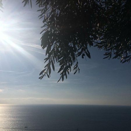 Creuza De Ma Ξενοδοχείο Santo Stefano al Mare Εξωτερικό φωτογραφία