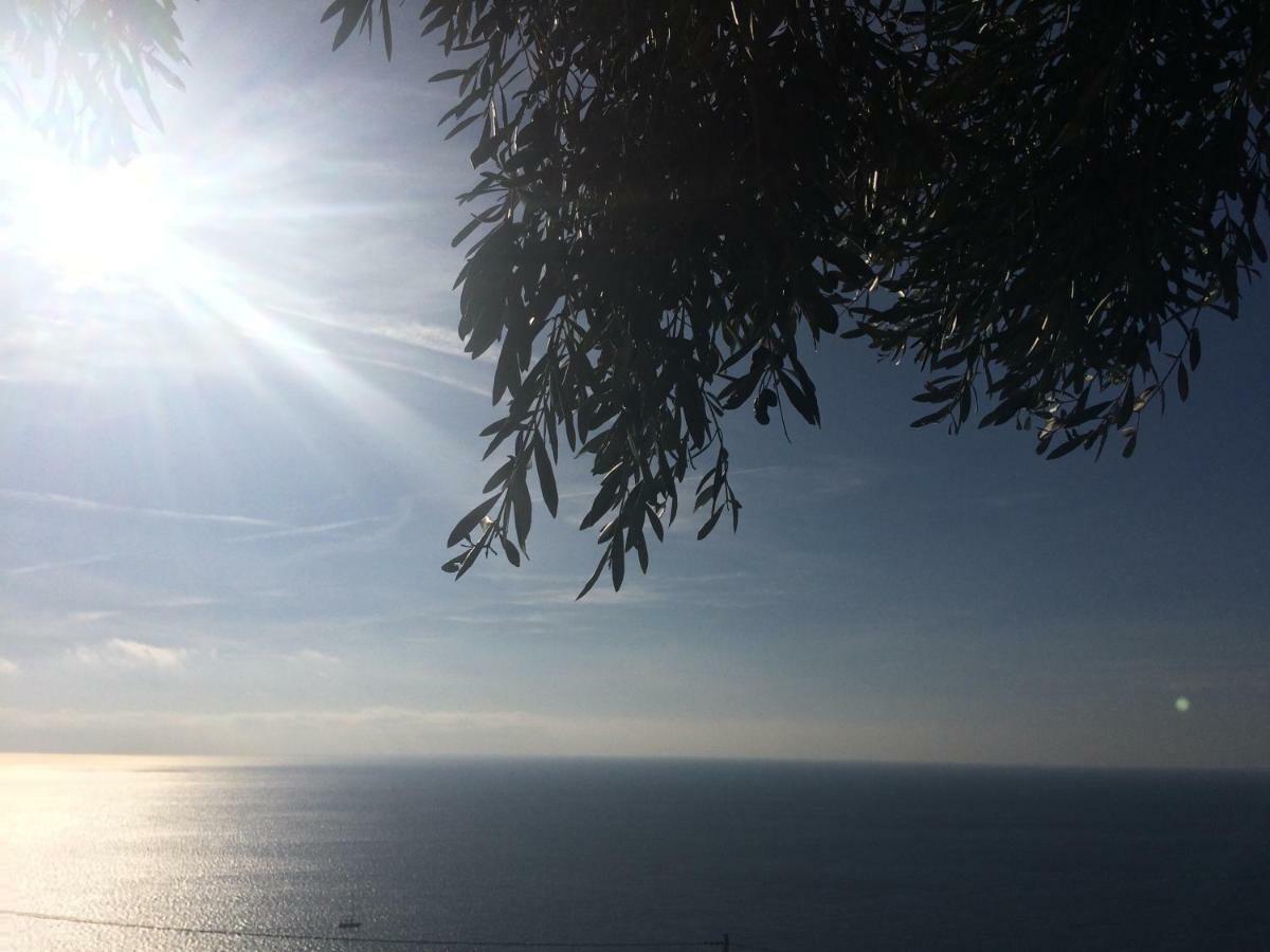 Creuza De Ma Ξενοδοχείο Santo Stefano al Mare Εξωτερικό φωτογραφία